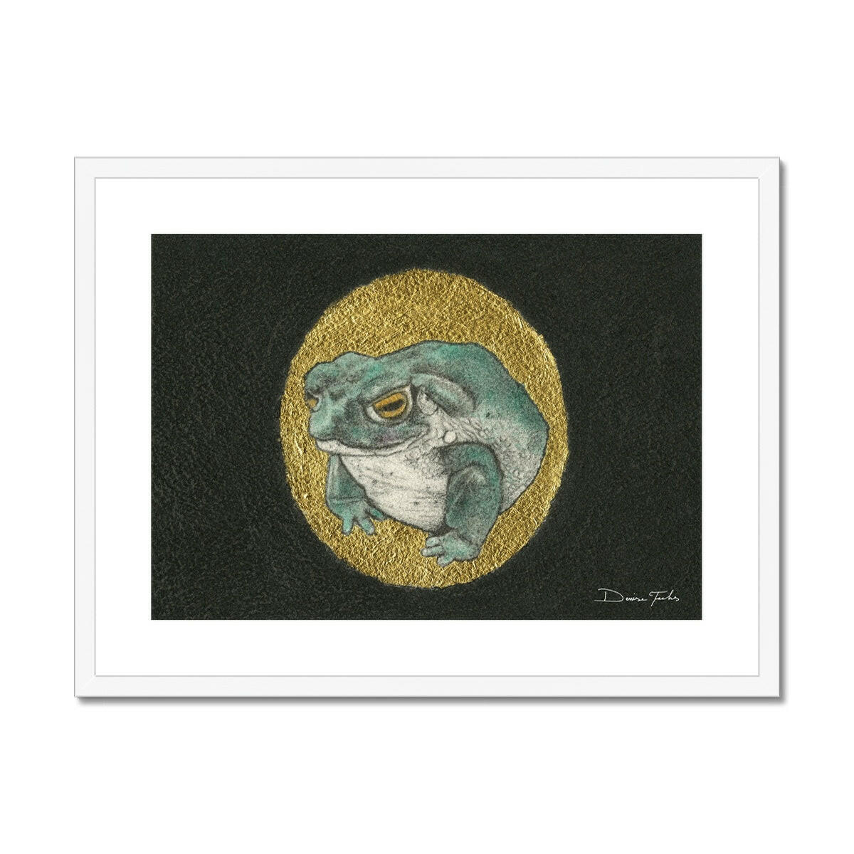 Sonoran Desert Toad Framed & Mounted Print.