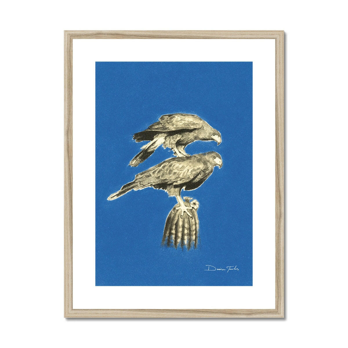 Harrison Hawks Framed & Mounted Print.