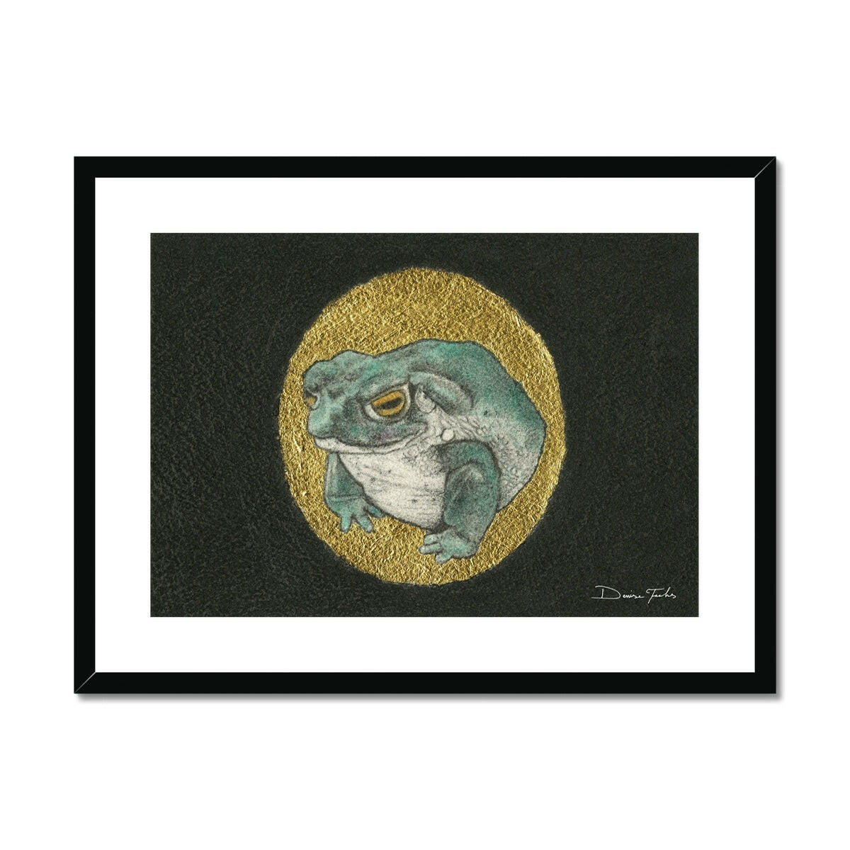 Sonoran Desert Toad Framed & Mounted Print.