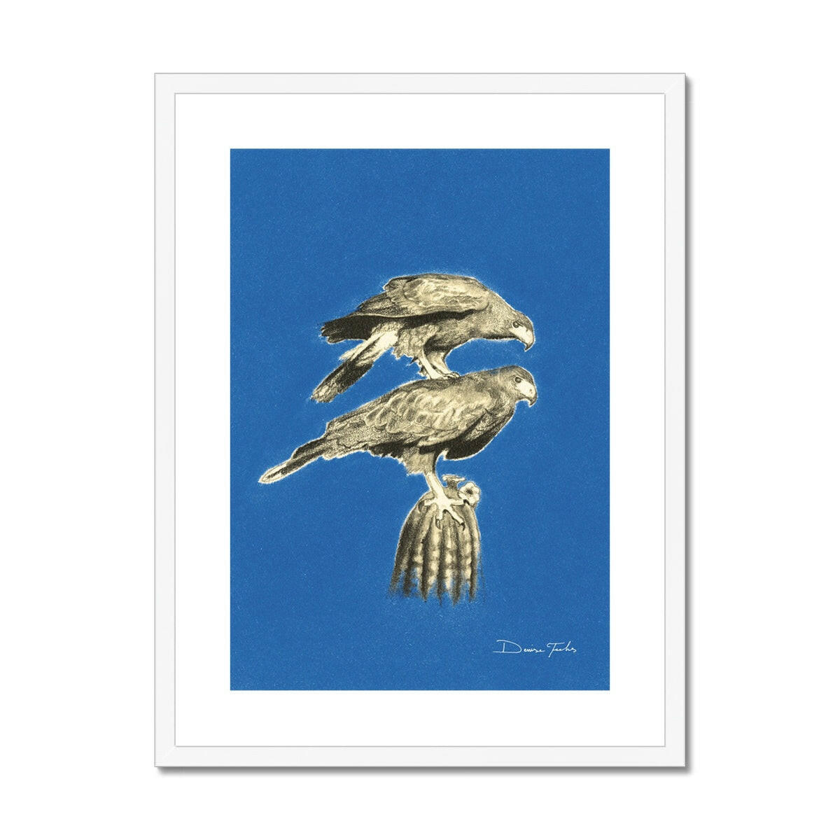 Harrison Hawks Framed & Mounted Print.