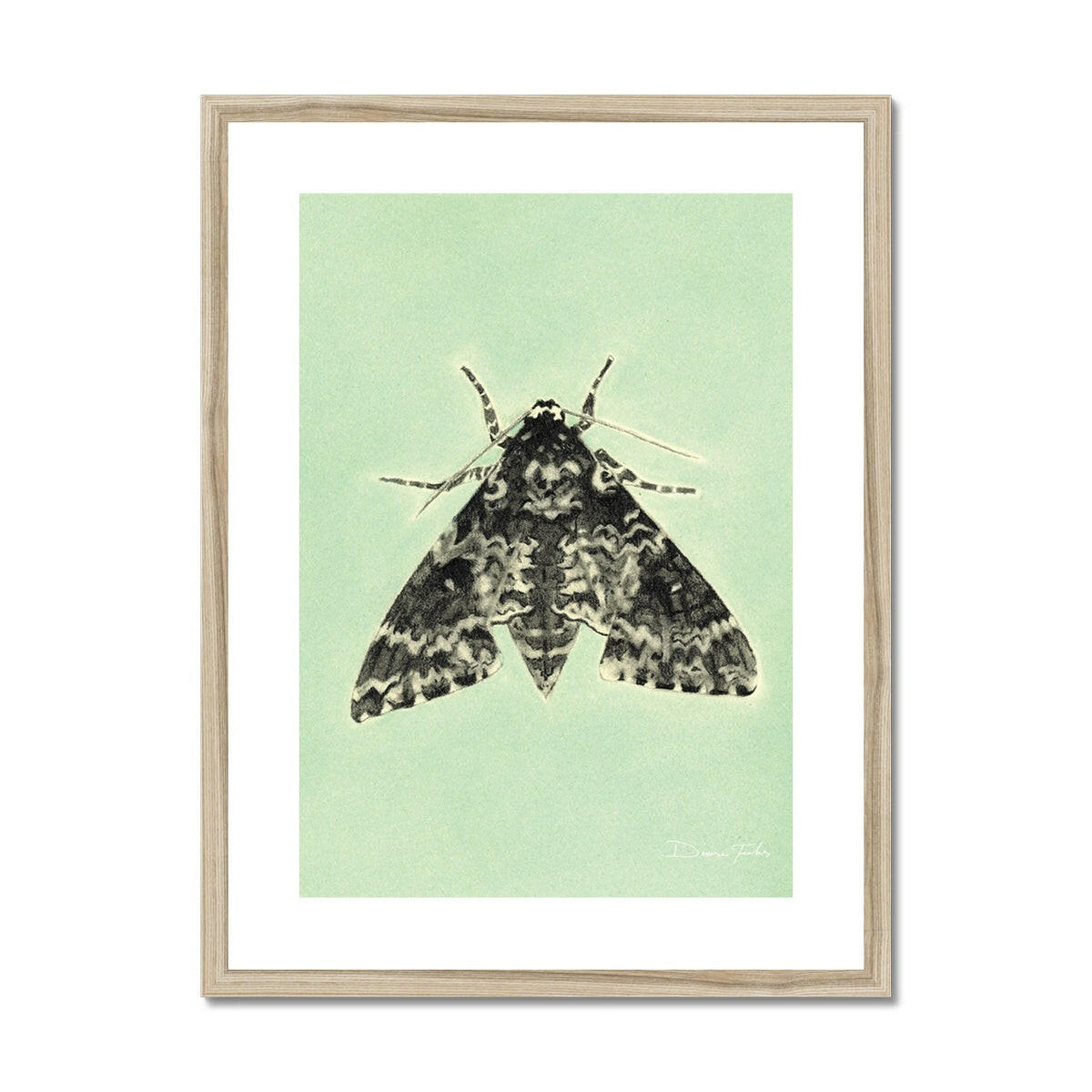 Rustic Sphynx Moth Framed & Mounted Print.