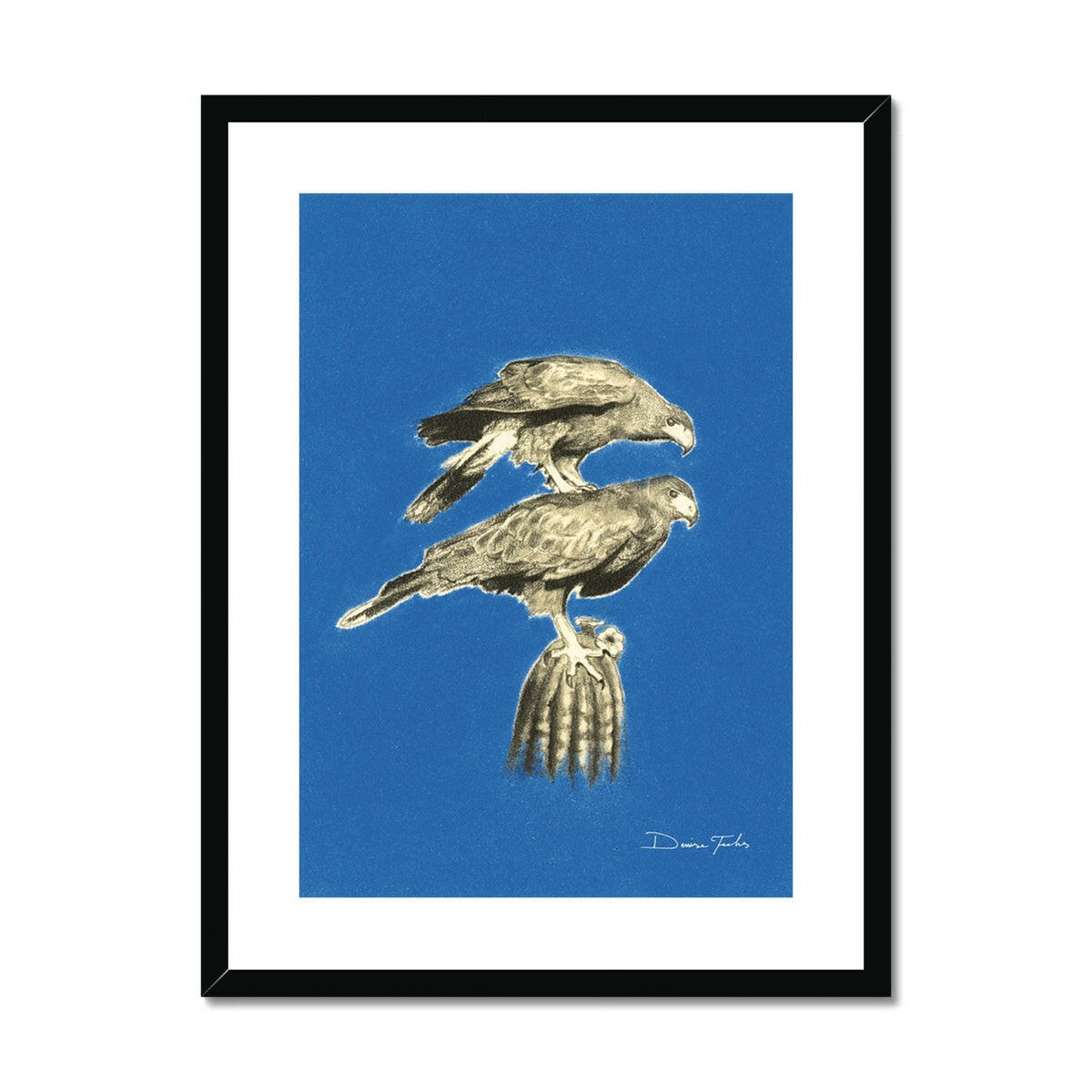 Harrison Hawks Framed & Mounted Print.