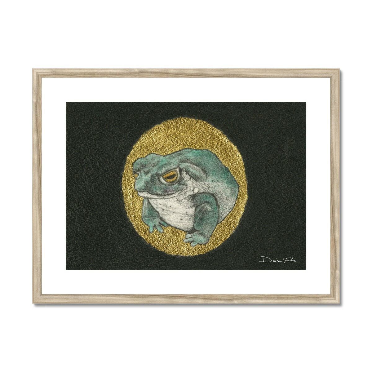 Sonoran Desert Toad Framed & Mounted Print.
