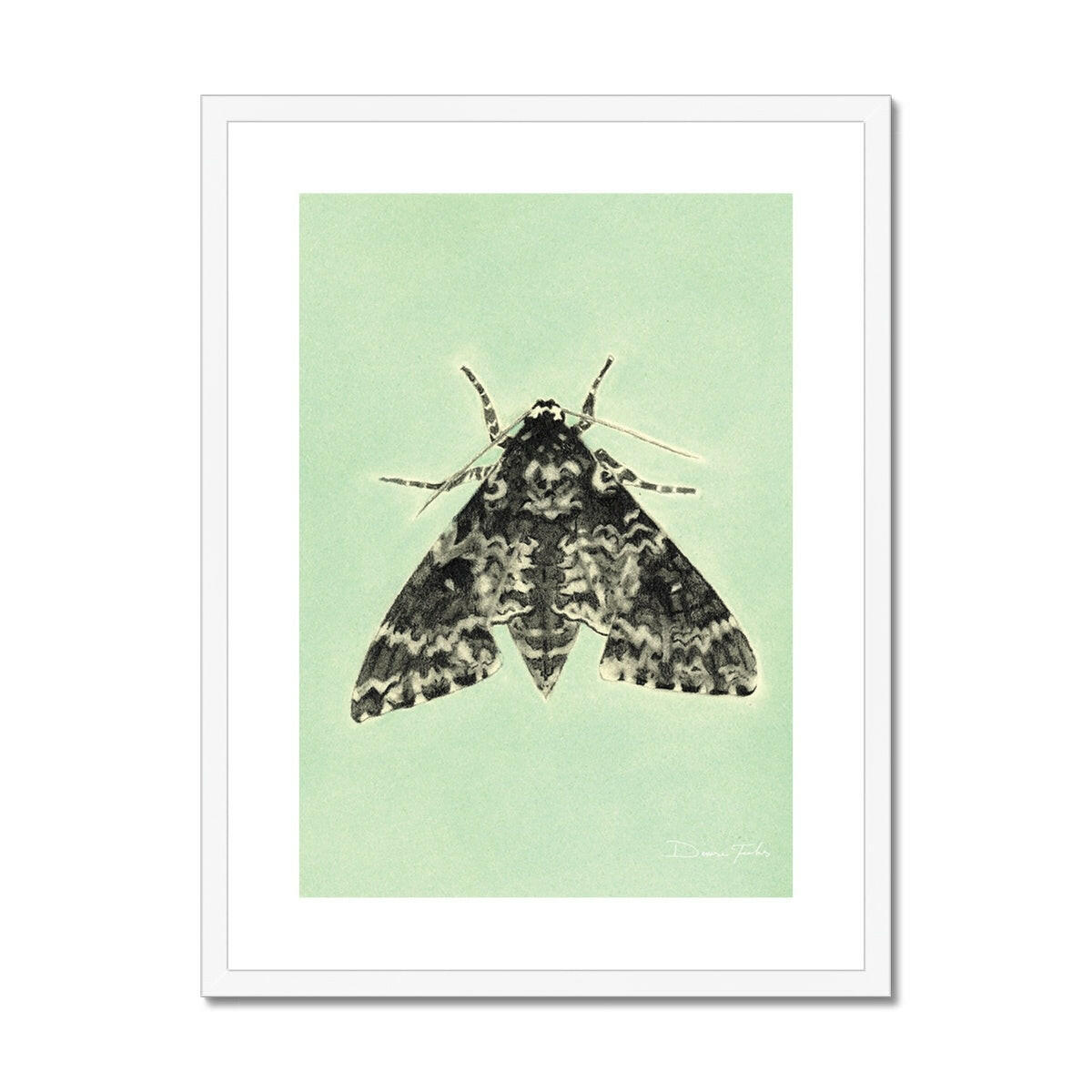 Rustic Sphynx Moth Framed & Mounted Print.