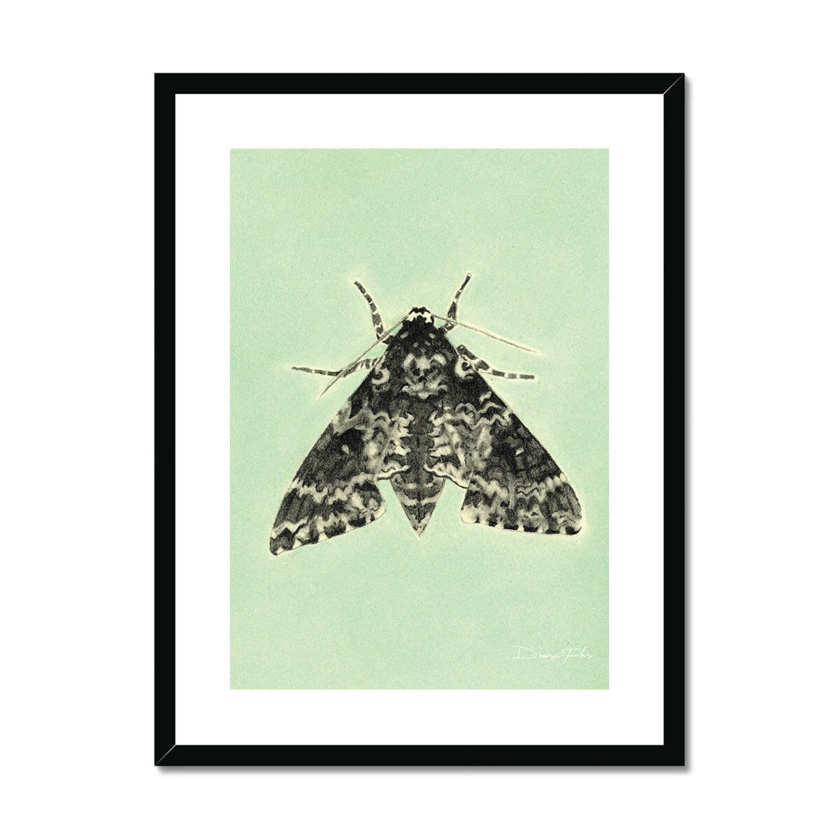 Rustic Sphynx Moth Framed & Mounted Print.