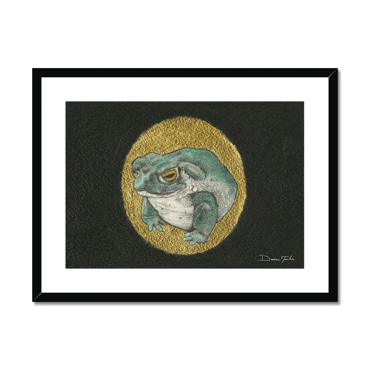 Sonoran Desert Toad Framed & Mounted Print
