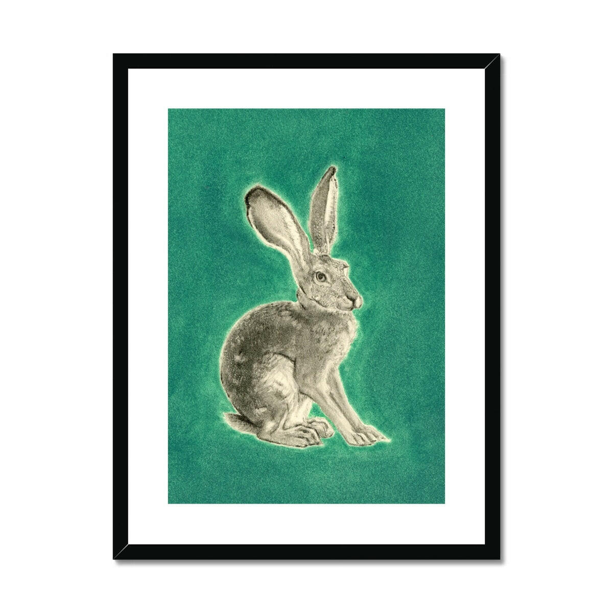 BlackTailed Jackrabbit Framed & Mounted Print.